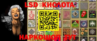 прущие грибы Краснодар