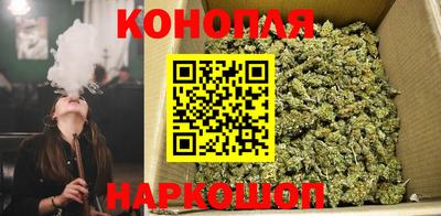 прущие грибы Краснодар
