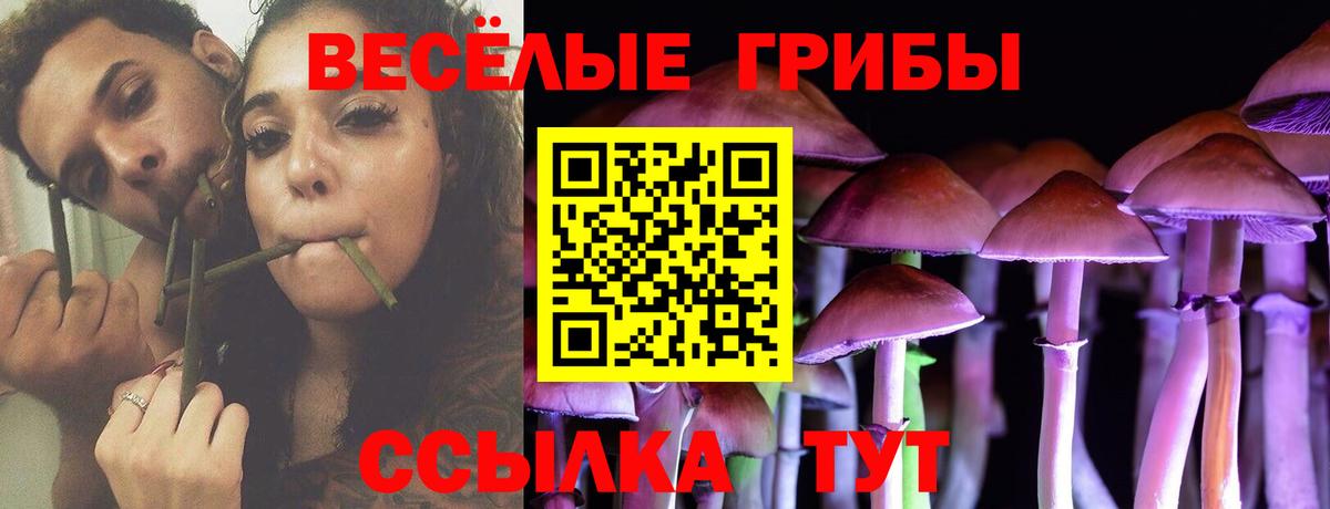 Псилоцибиновые грибы MAGIC MUSHROOMS  Вход с VPN  Псилоцибиновые грибы ЛСД  Касимов 
